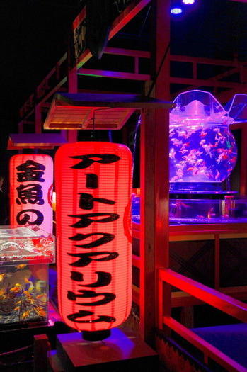 コピー (1) ~ IMG_0166_1