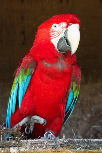 07 コピー (1) ～ IMG_4042_1