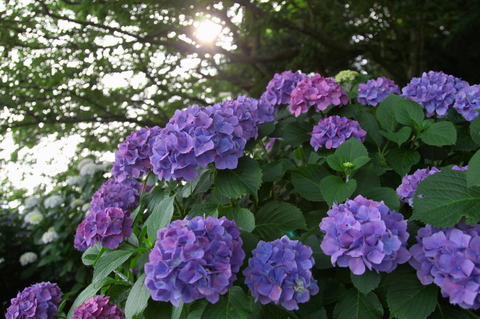 02IMG_3364_1