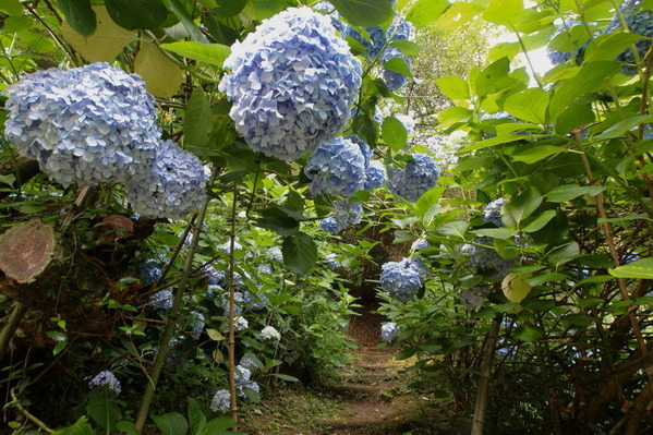 04 コピー (1) ～ IMG_4215_1_1