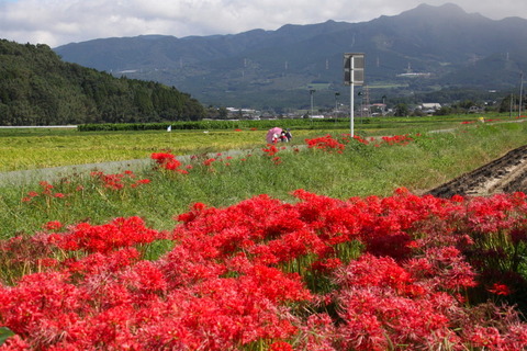 コピー (1) ～ IMG_5781_1_1