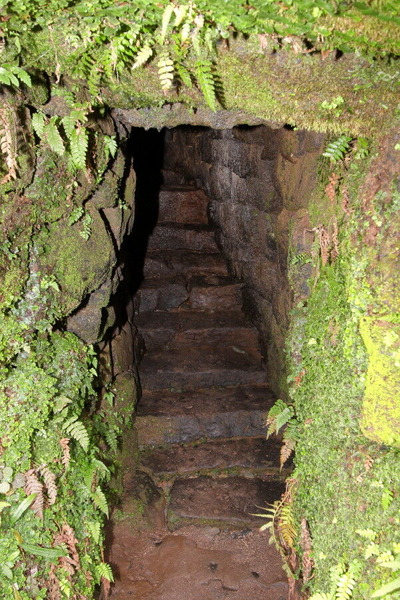 06IMG_0317_1