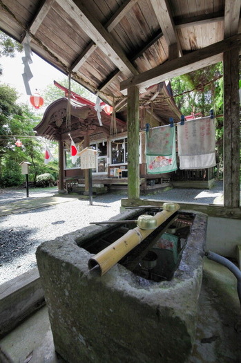 IMG_3793_1