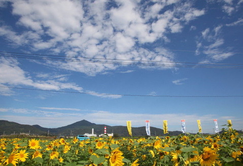 d7d4e205.jpg