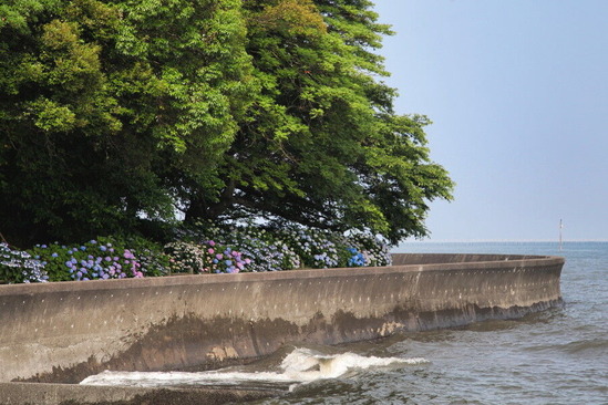 11IMG_3444_1