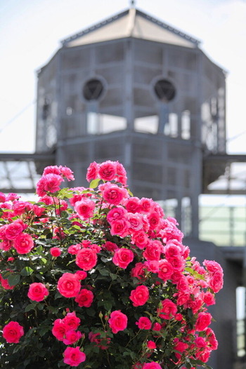 14IMG_4976_1
