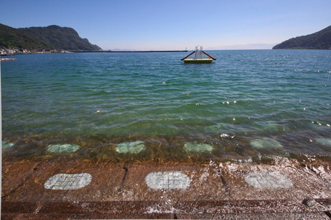 コピー (1) ～ IMG_5207_1