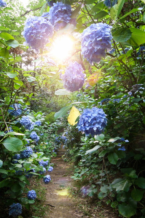 12 コピー (1) ～ IMG_4243_1_1_layer_copy_1