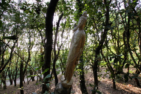 コピー (1) ~ IMG_5990_1