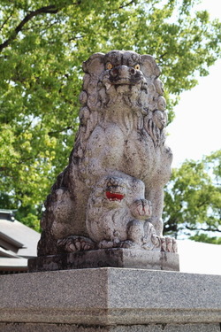 IMG_3545_1
