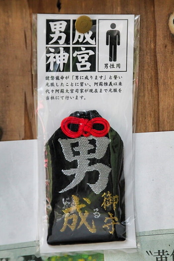 コピー (1) ~ IMG_5137_1_1-1
