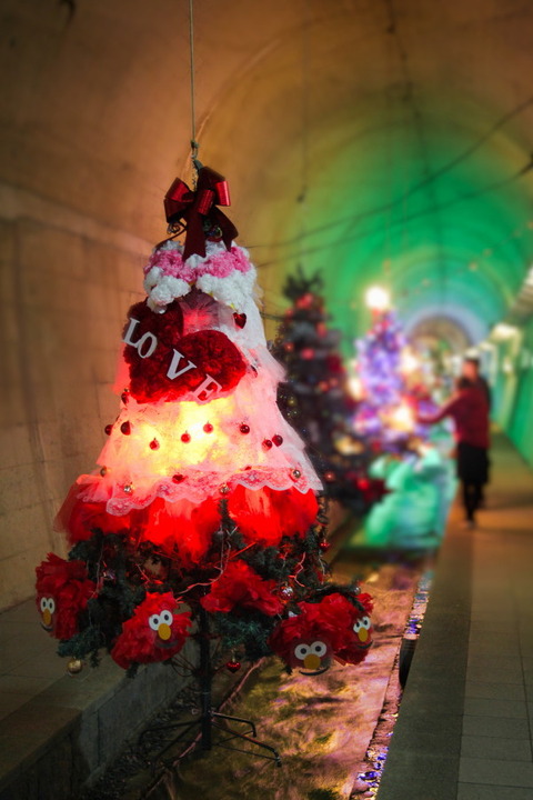 コピー (1) ~ IMG_0360_1