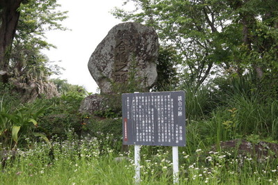ea387272.jpg