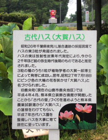 02 コピー (1) ~ IMG_4149_1