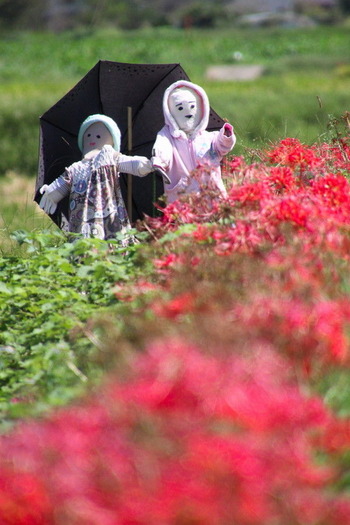 コピー (1) ～ IMG_5773_1_1