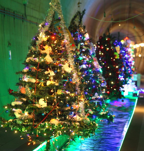 コピー (1) ~ IMG_0365_1_1