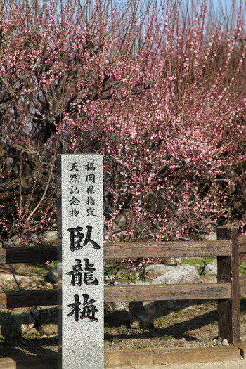 02IMG_8618_2