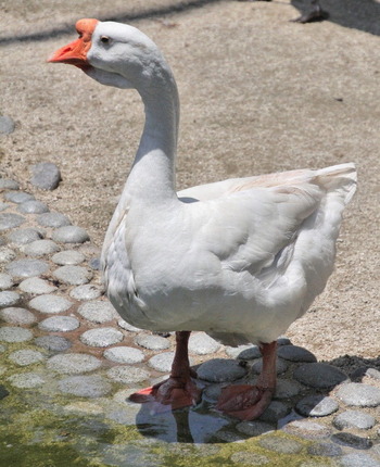 05 コピー (1) ～ IMG_4027_1