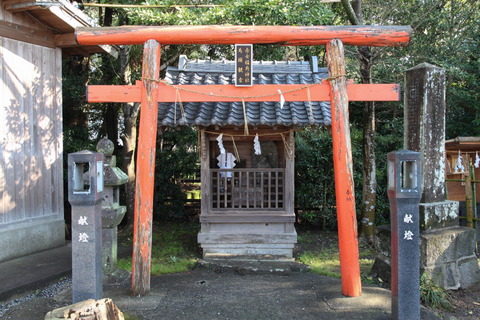 IMG_2242_1_1