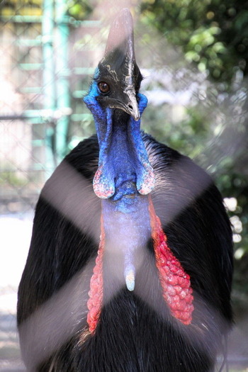 10 コピー (1) ～ IMG_4050_1