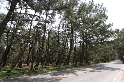 fd1c06d6.jpg
