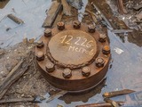 970