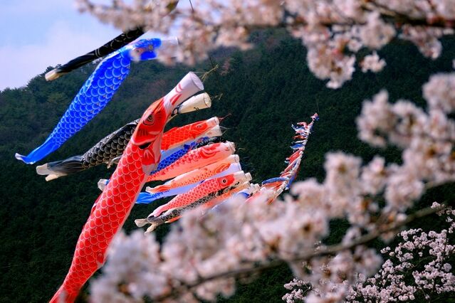 中杉弘の人間の探求人類を救う 100万人の法華経入門 『妙法蓮華経化城喩品第七』について 75