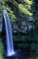 3c895912.jpg