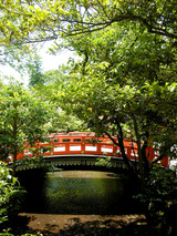 b7789a77.jpg