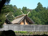 d50c2a92.jpg