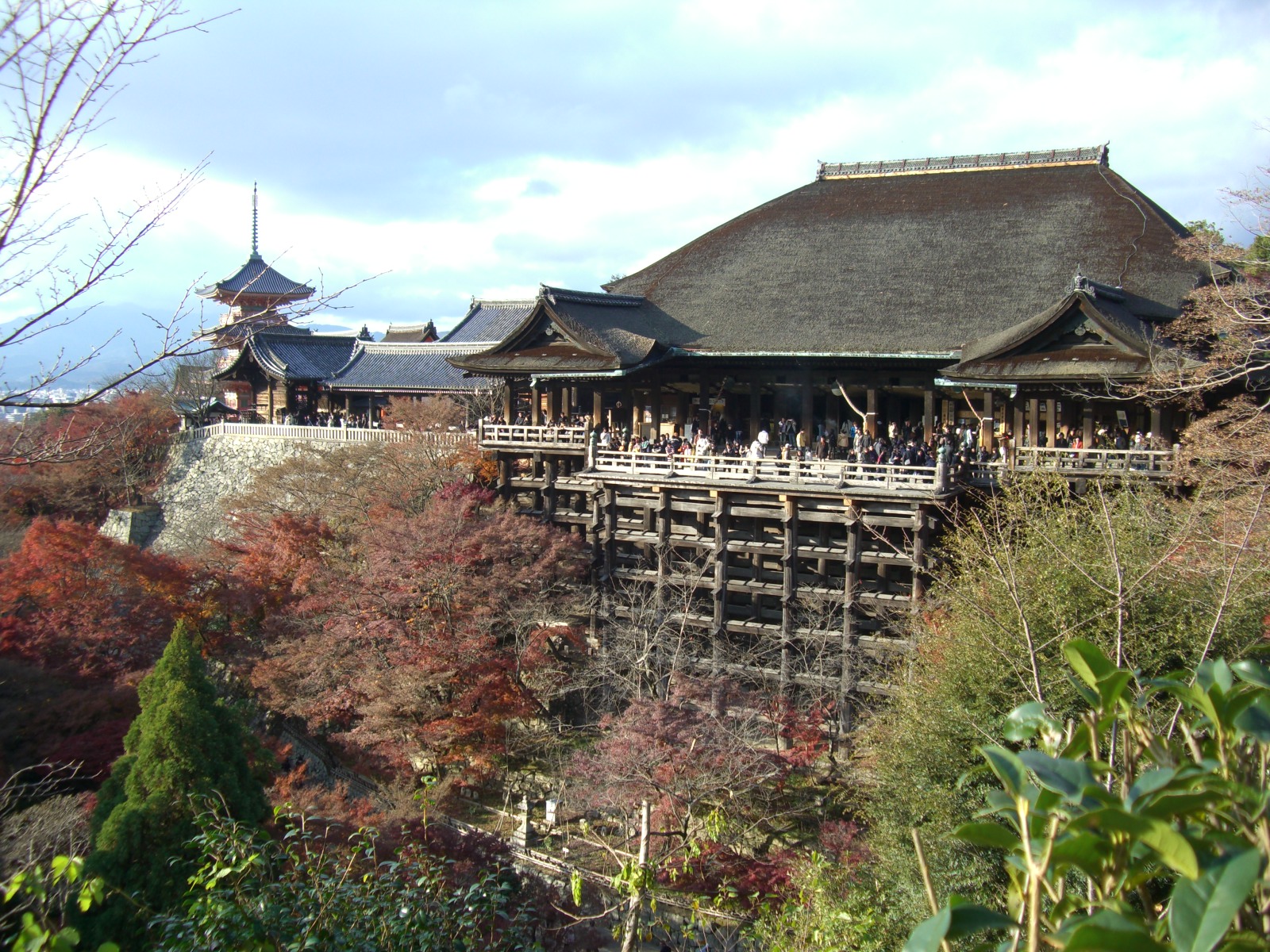 中杉　弘のブログ                中杉　弘