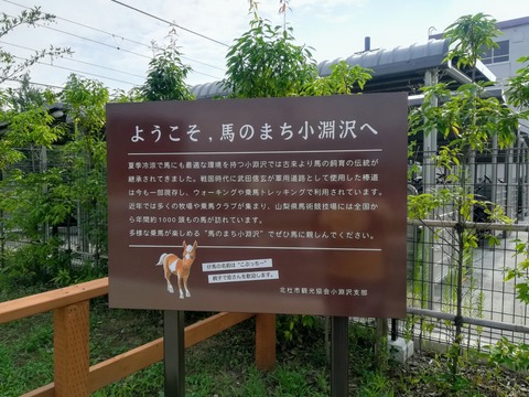 IMG_20190818_083856~2