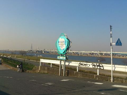 rps20140326_084553