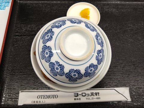 CAMERA_20240126_173055_2456687072616069951