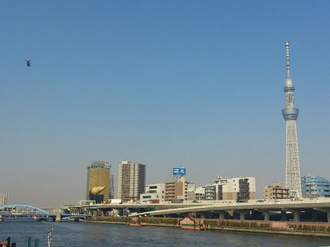rps20140326_084501