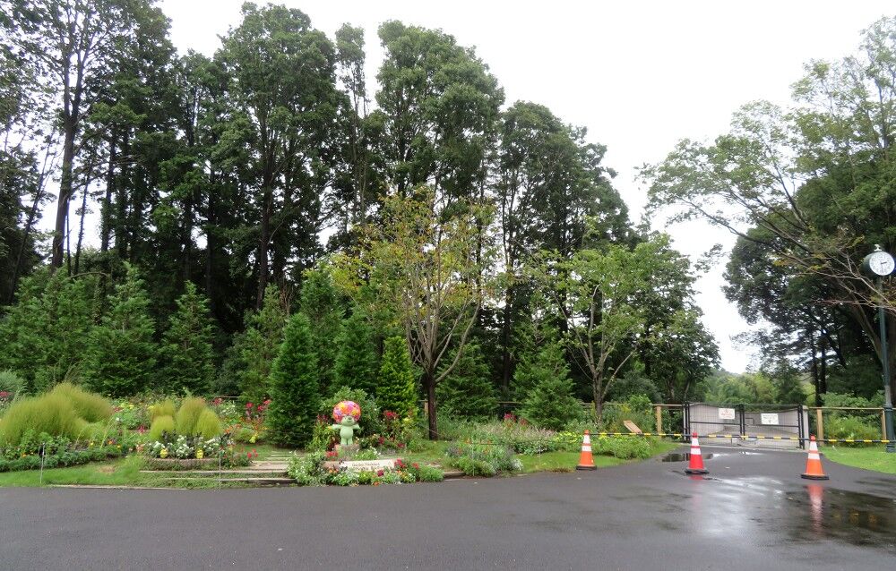 四季の森 里山g ヒガンバナ開花状況など 2 続なかやまさんぽ