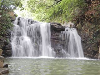 DSCN3904_R