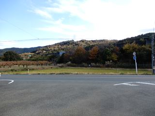 DSCN2040_R