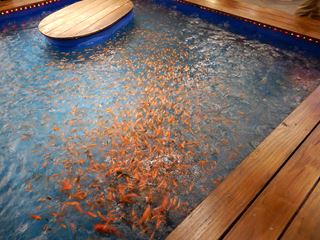 DSCN0162_R