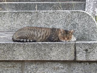 DSCN9688_R