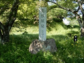 DSCN0470_R