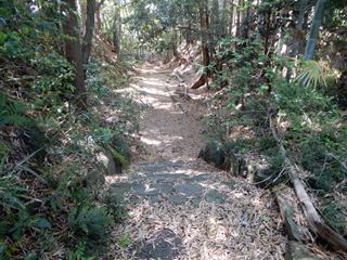 北曲輪から主郭へ行く途中の空堀_R