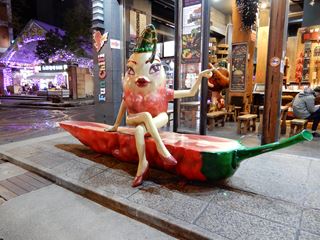 DSCN0188_R