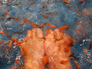 DSCN0167_R