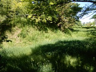DSCN0483_R