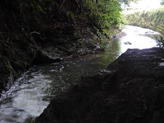 DSCN3911_R