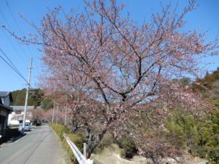 DSCN8221_R