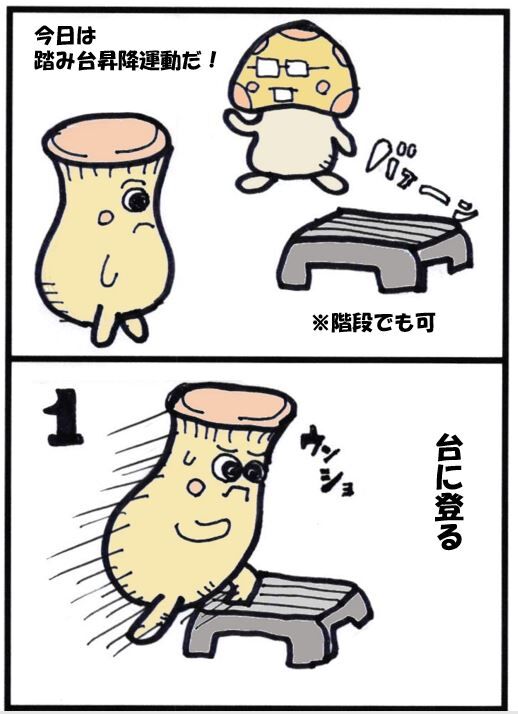 自宅でできる筋トレ 段差があったら とりあえず登ってみよう 脳筋系 心臓血管外科医の健康コラム