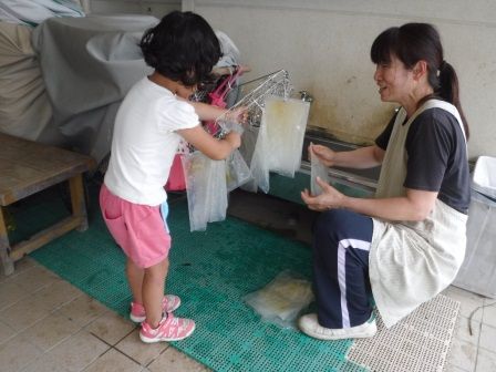 マリーゴールドで色水遊び 子育てセンターなかぜのブログ マリーゴールドで色水遊び 子育てセンターなかぜのブログ