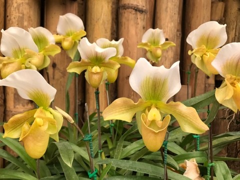 CFAFE7E7-7BAA-416F-8A5D-DD92FB9FC76F